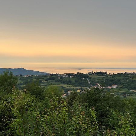Guesthouse Green Istria Truške Exterior foto