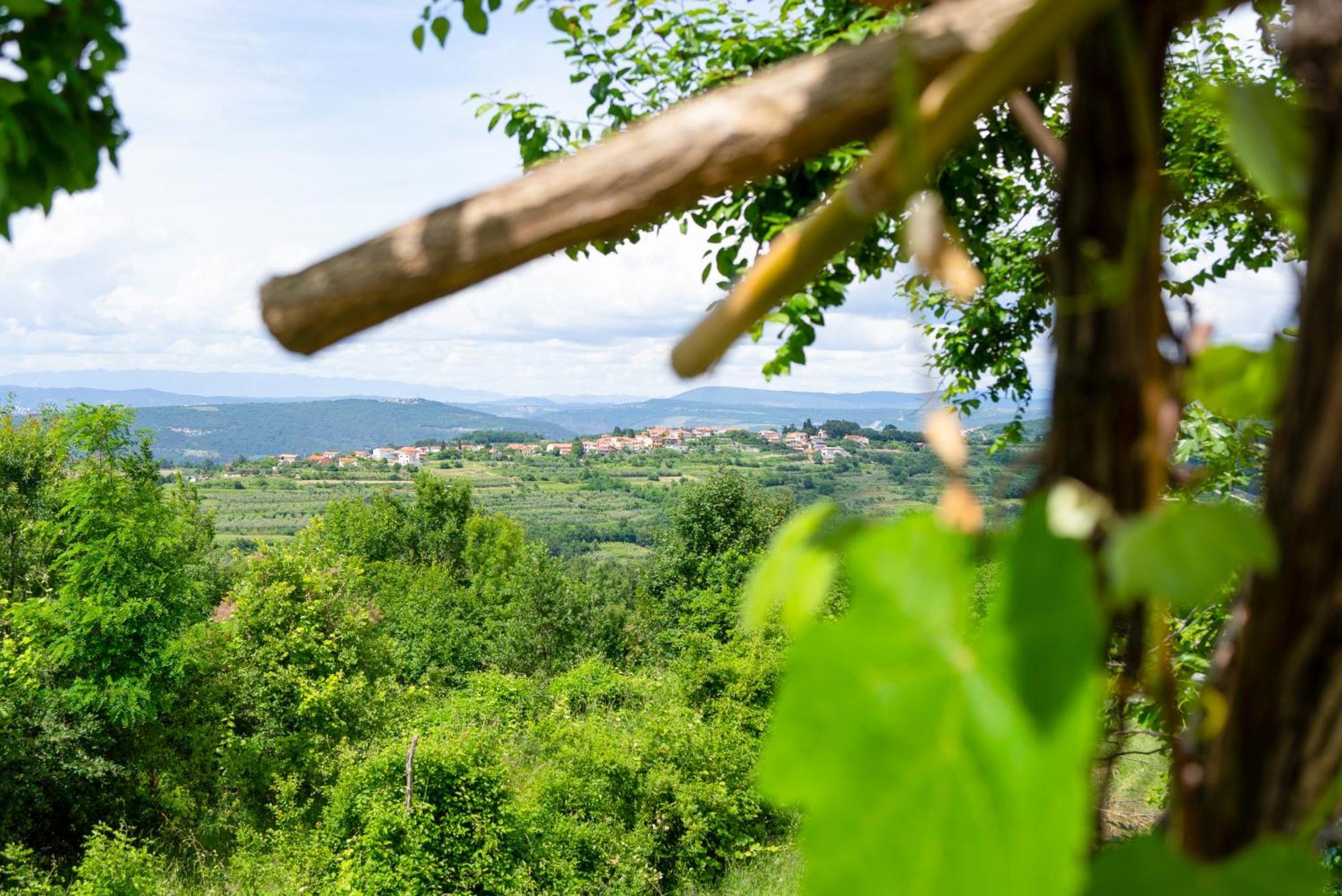 Guesthouse Green Istria Truške Exterior foto